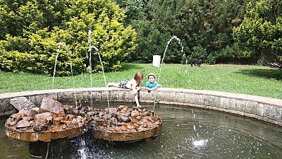 img-20200713-150301.jpg