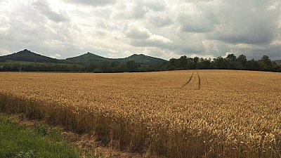 img-20200716-145207.jpg
