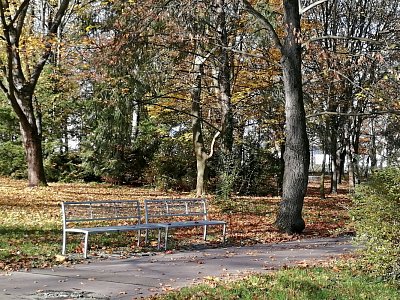 img-20201106-111617.jpg