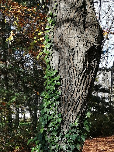 img-20201106-112058.jpg