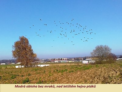 img-20201107-140903.jpg