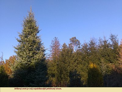 img-20201107-150734.jpg