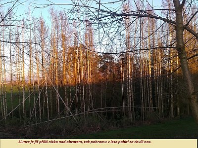 img-20201107-155740.jpg