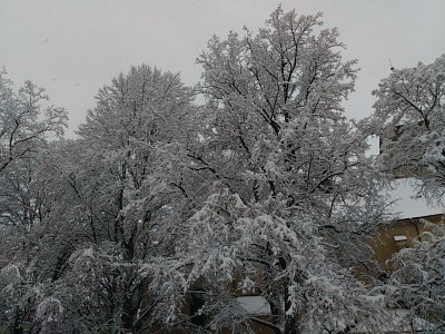 img-20210107-080323.jpg