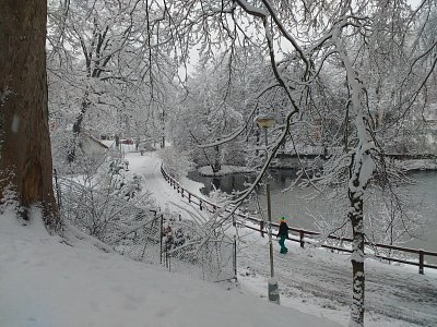 img-20210107-081637.jpg