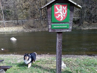 img-20210405-123218.jpg