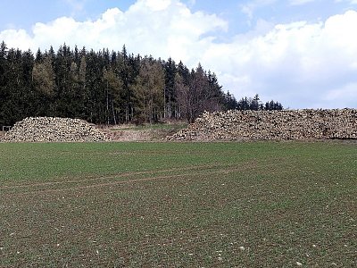img-20210421-131802-u-lesa.jpg