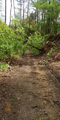 img-20210524-122200-4.jpg