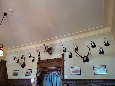 trofeje pánů zámku
