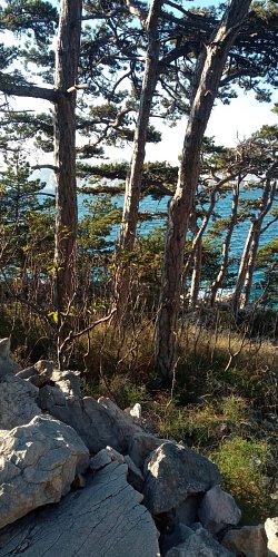 img-20210908-082616-5.jpg