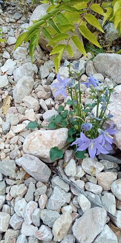 img-20210908-090733-2.jpg