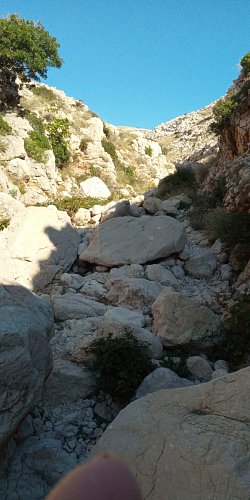 img-20210908-092225-8.jpg