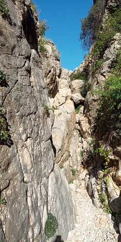 img-20210908-100101-2.jpg