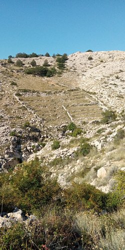 img-20210908-102639-3.jpg