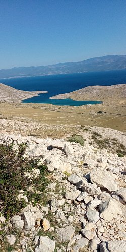 img-20210908-105324-1.jpg