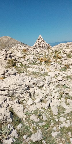 img-20210908-124832-7.jpg