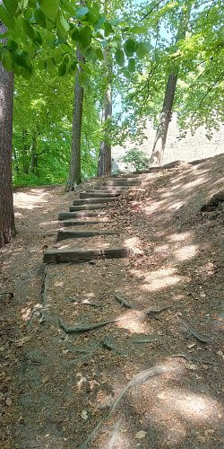 img-20220510-120431-5.jpg
