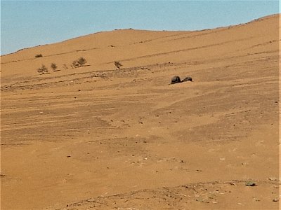 Sahara