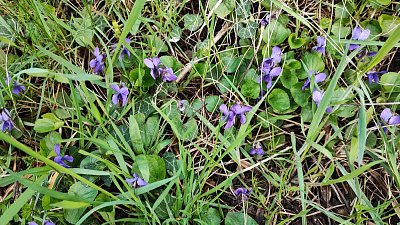 img-20230403-110830.jpg
