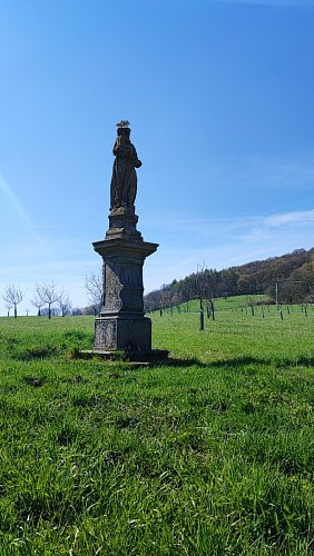 img-20230422-112129-1.jpg