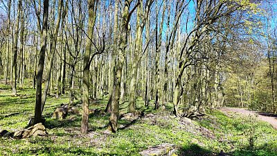 img-20230422-121015.jpg