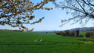 img-20230422-123353.jpg