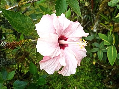Botanická zahrada