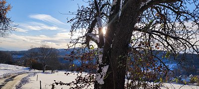 img-20231126-143322.jpg