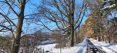 img-20231126-143426.jpg