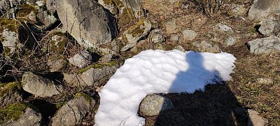 img-20240129-121433.jpg