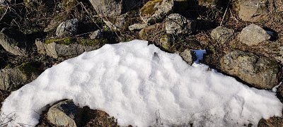 img-20240129-121441.jpg