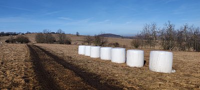 img-20240129-130439-1.jpg