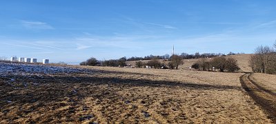 img-20240129-130624.jpg