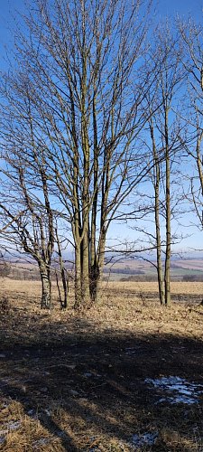 img-20240129-130840-1.jpg
