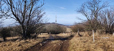 img-20240129-131648-1.jpg