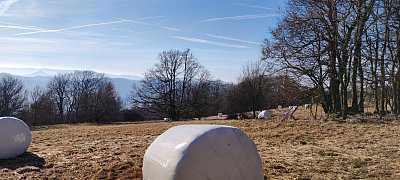 img-20240129-133202-1.jpg