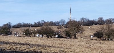 img-20240129-170628-2-1.jpg