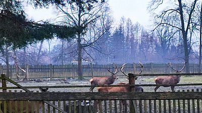 img-20240201-095413.jpg