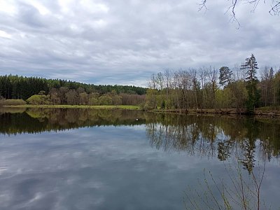 Rybník plný ryb.