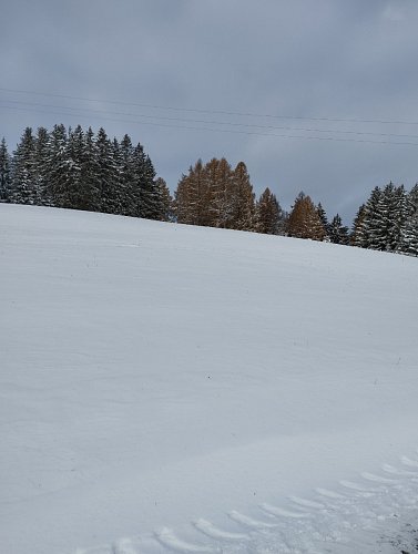 img-20241123-093350.jpg