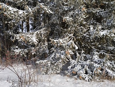 img-20241123-095202.jpg