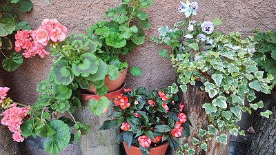 img-20250619-144243.jpg