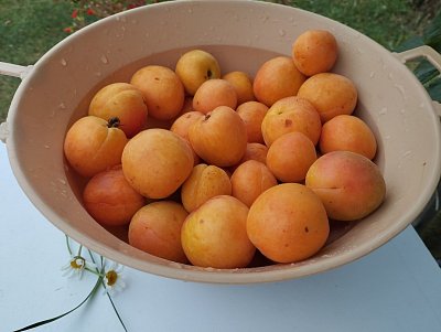 img-20250708-080710.jpg