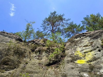 Vzhůru k nebesům