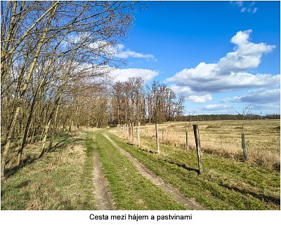img-20260317-cesta-podle-haje.jpg