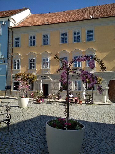 Květinová výzdoba