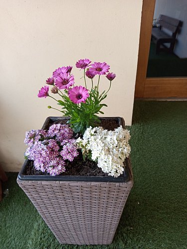 img-20260518-174526-3.jpg