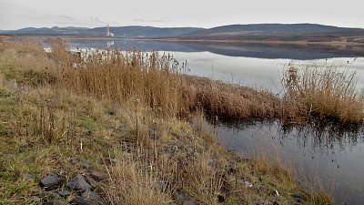 img-2079.jpg