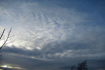 img-2144.jpg