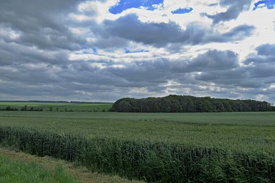 img-2176-2.jpg
